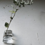 f:id:liir:20090817185433j:image