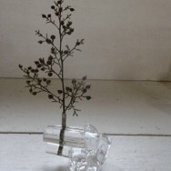 f:id:liir:20090824083341j:image