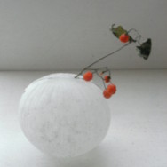 f:id:liir:20100112084158j:image